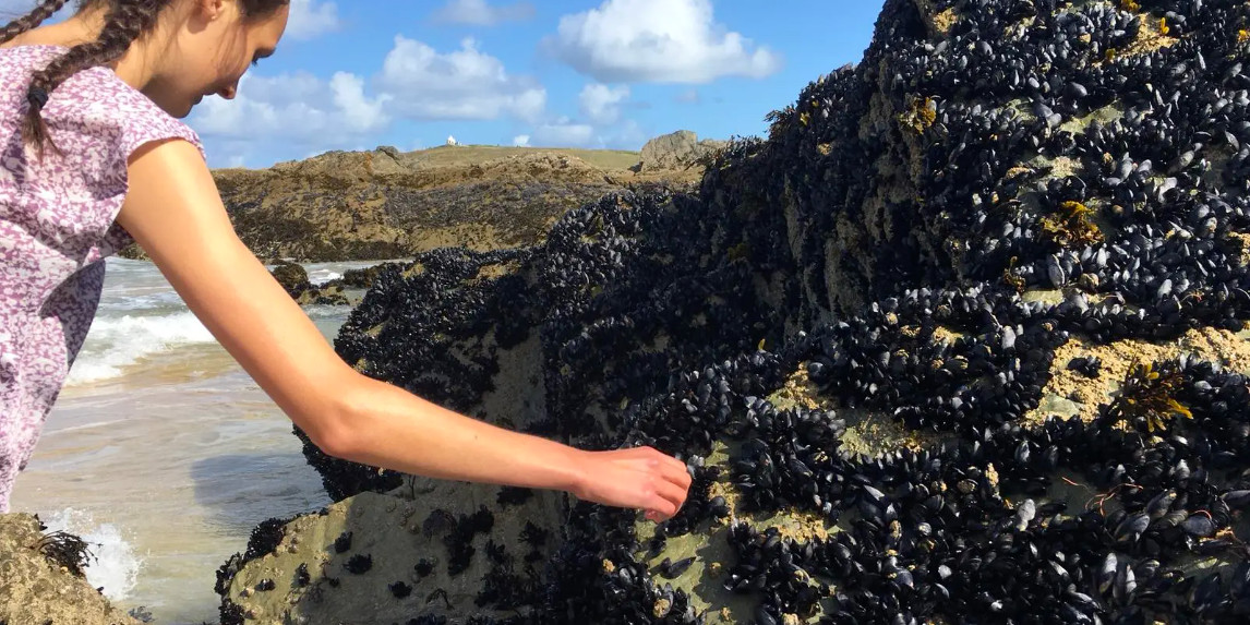 Sixth Form student investigating marine life.